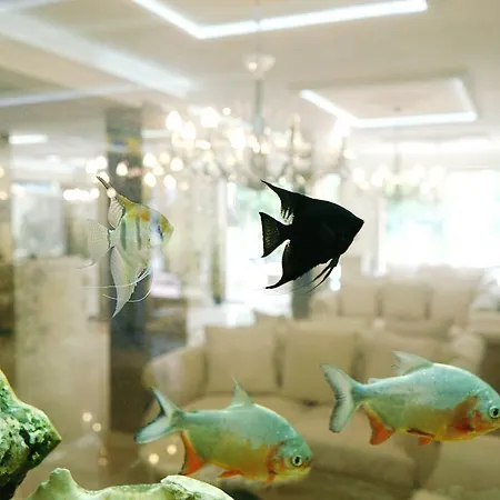 Dream Island Солнечный берег